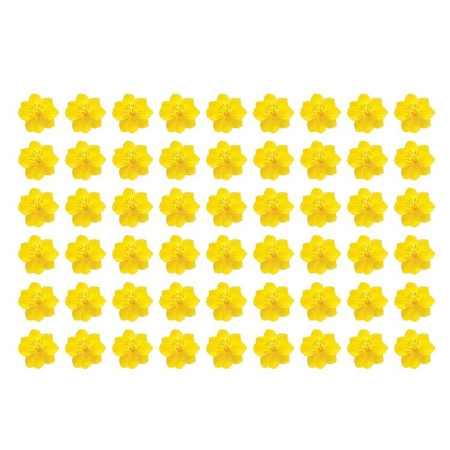 Decal trang trí tết mai vàng nở rộ