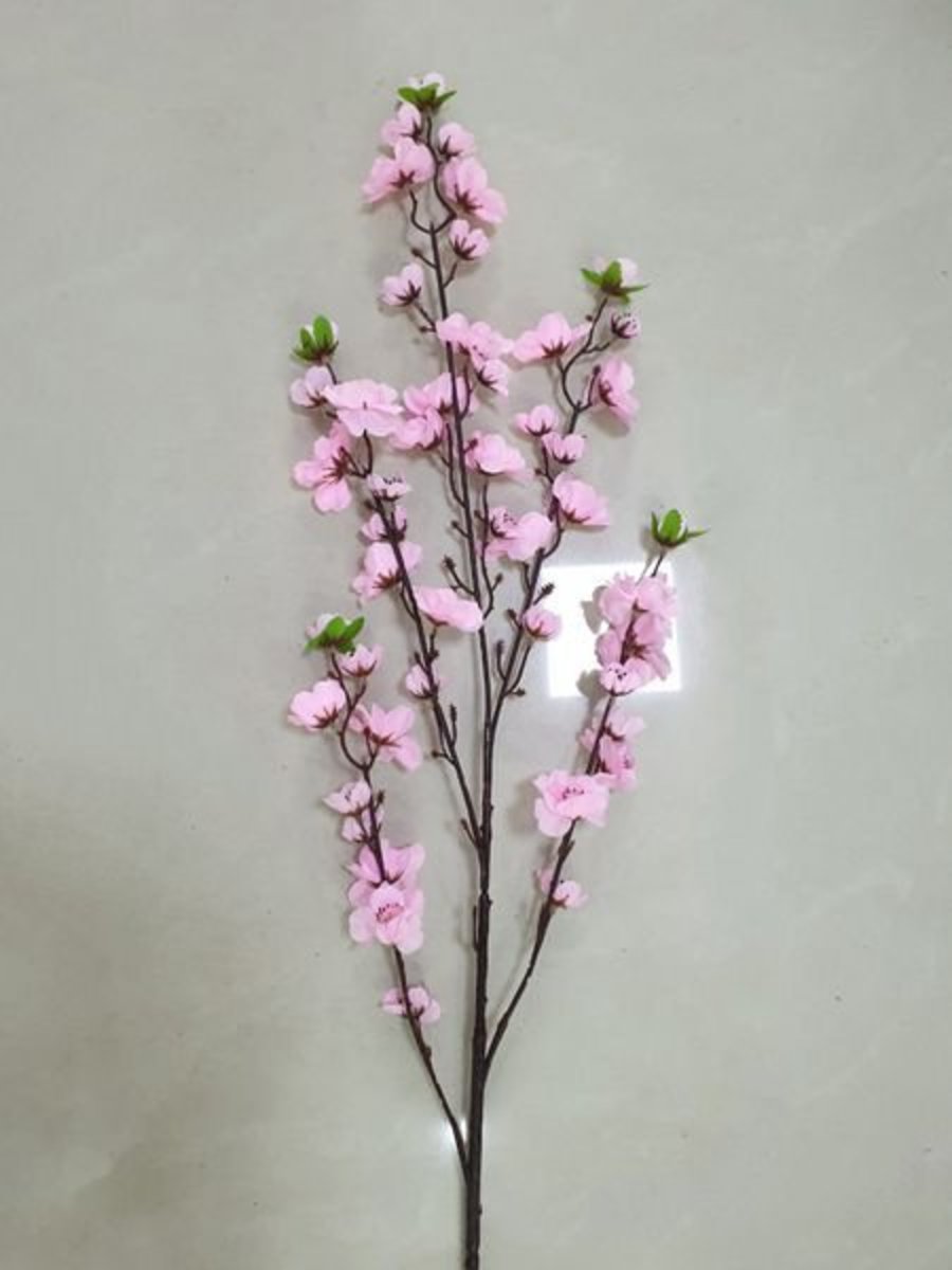 Ảnh sản phẩm - Lala Shop