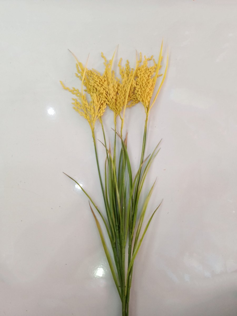 Ảnh sản phẩm - Lala Shop