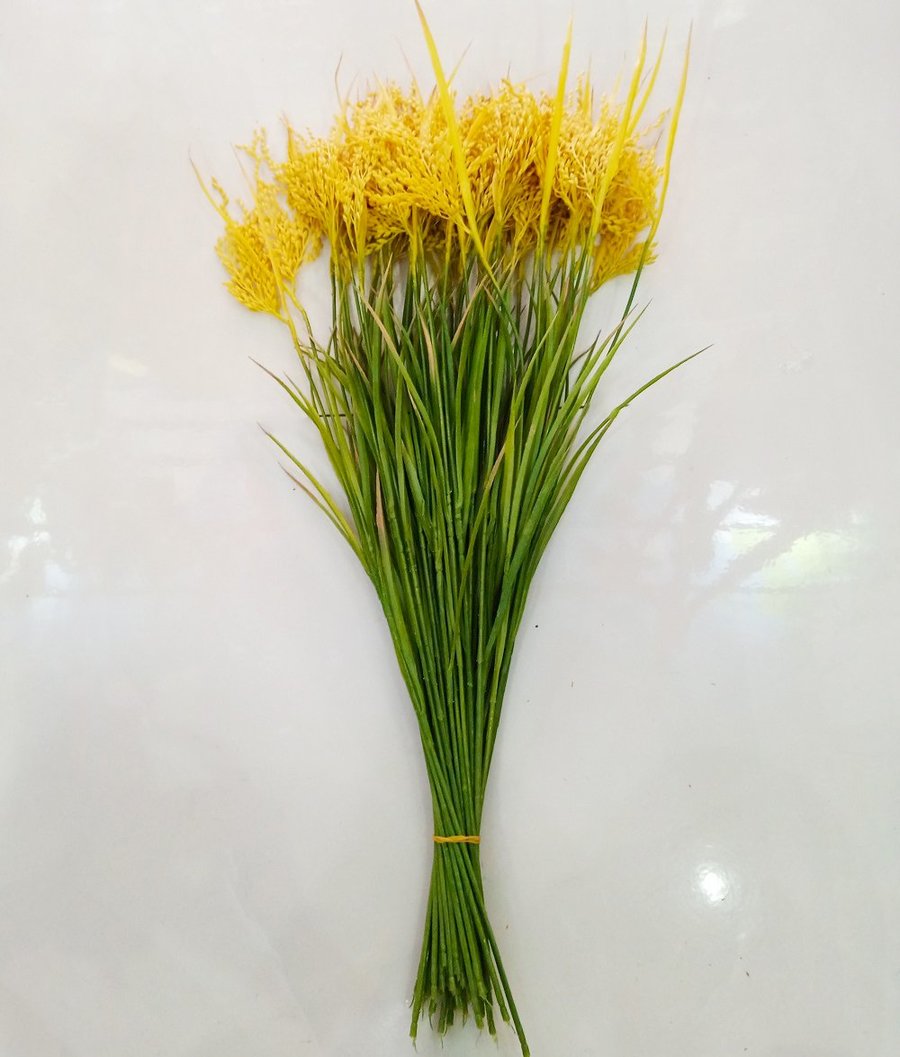 Ảnh sản phẩm - Lala Shop