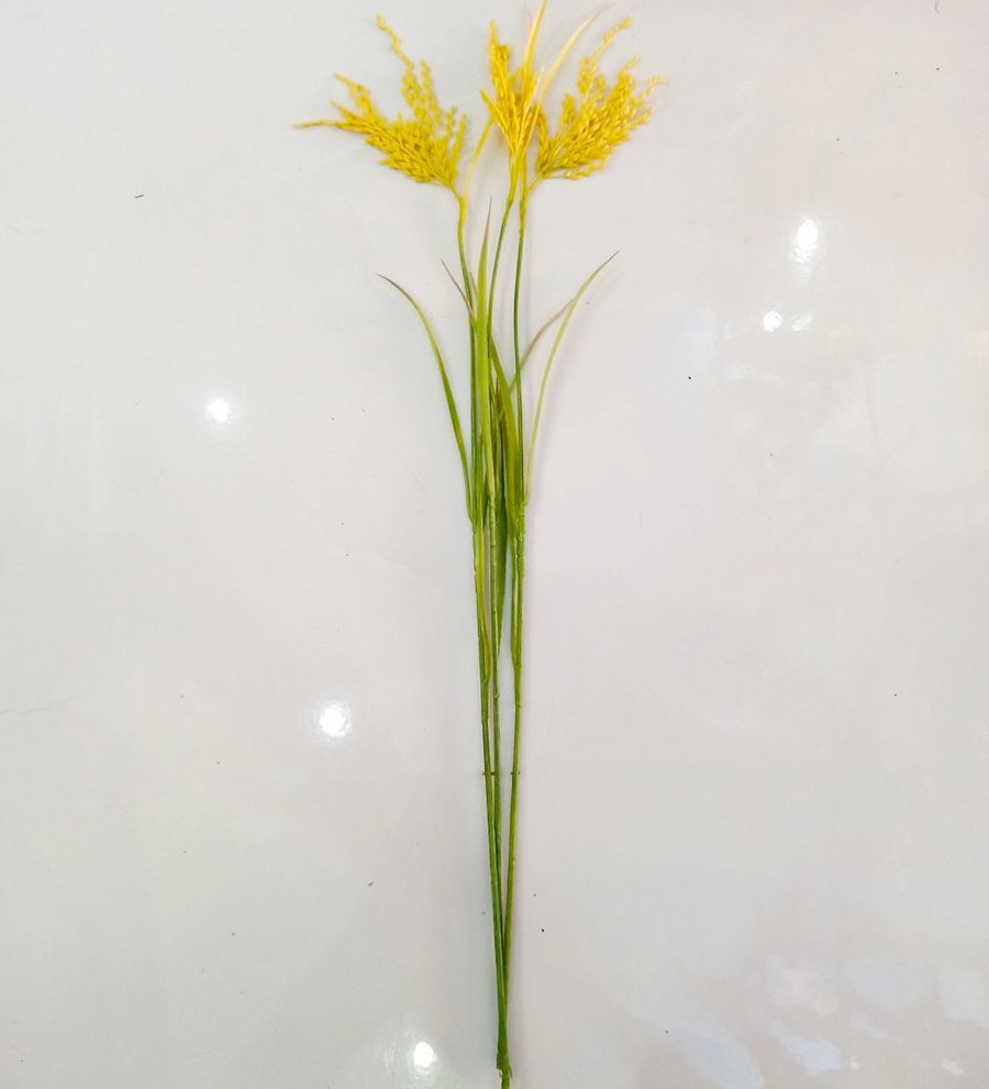 Ảnh sản phẩm - Lala Shop