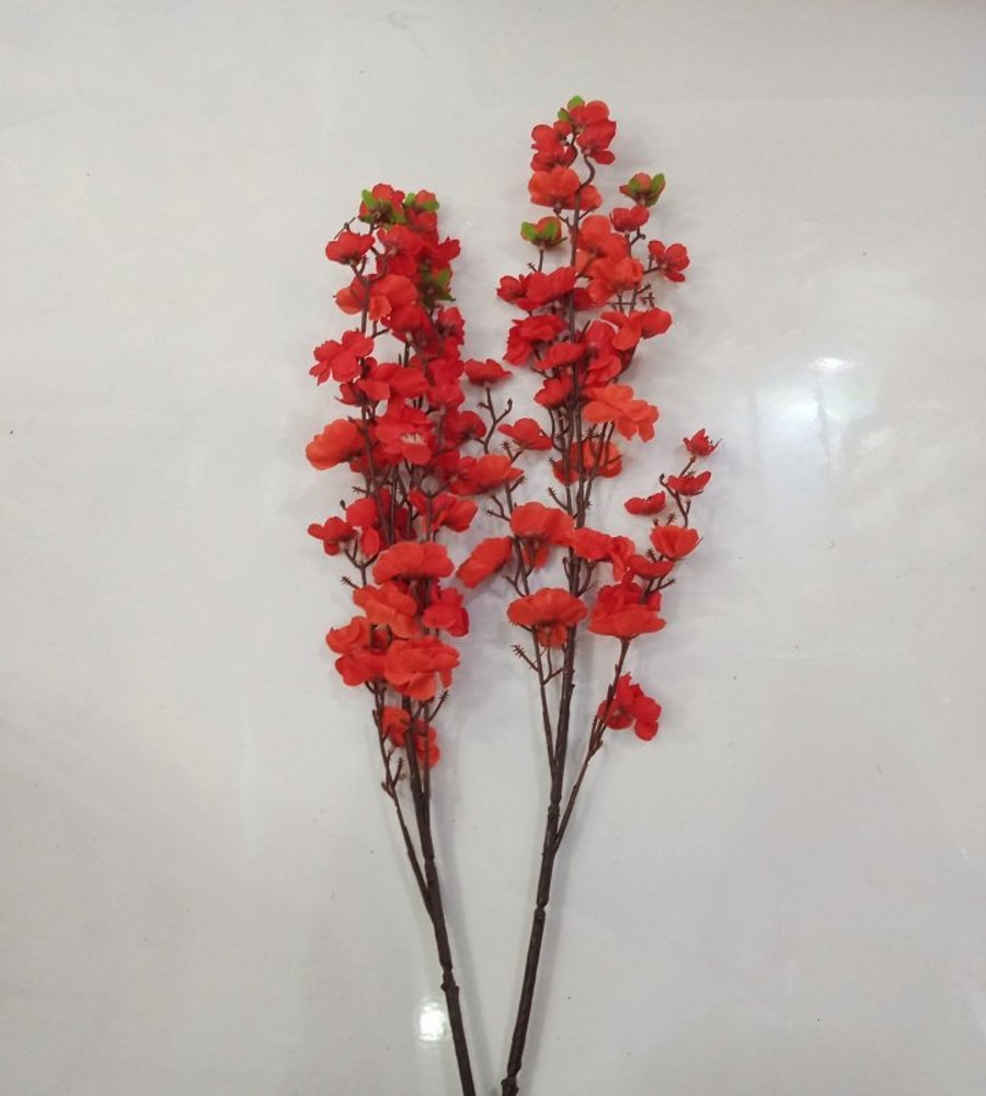 Ảnh sản phẩm - Lala Shop