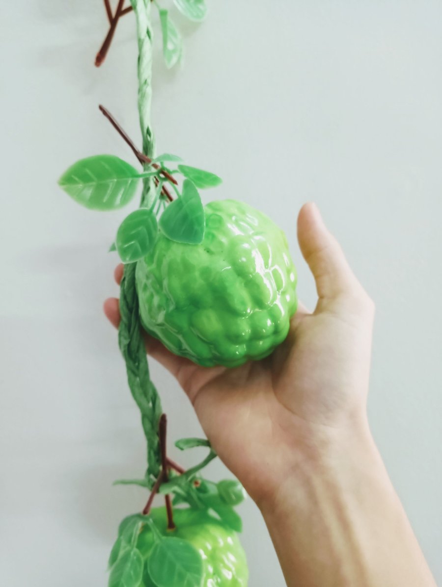 Ảnh sản phẩm - Lala Shop