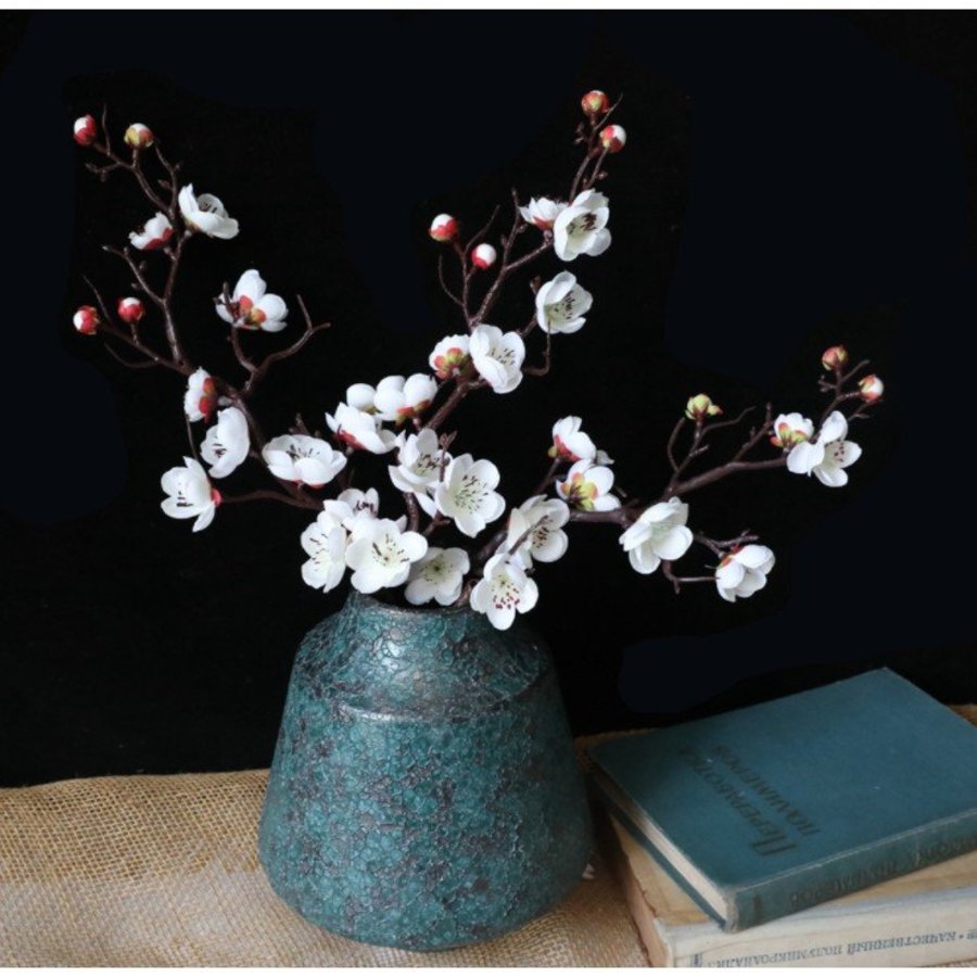 Ảnh sản phẩm - Lala Shop