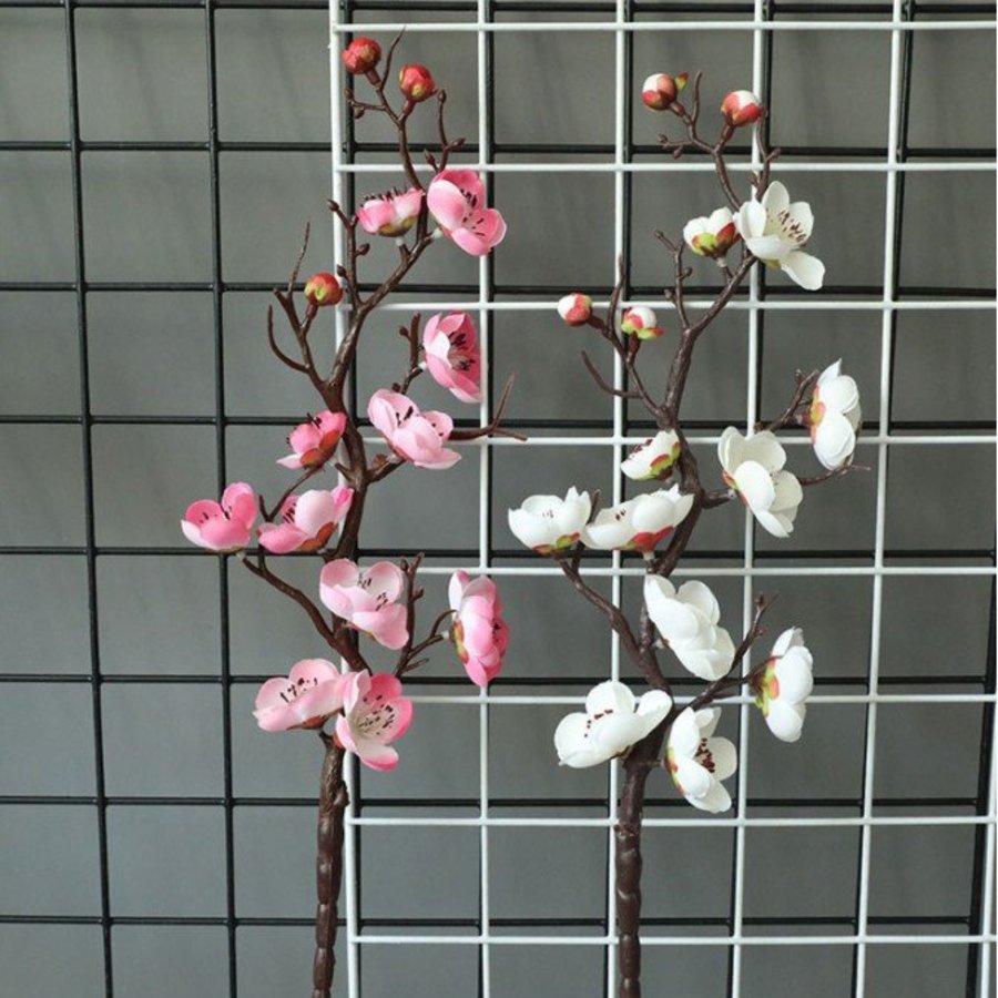 Ảnh sản phẩm - Lala Shop