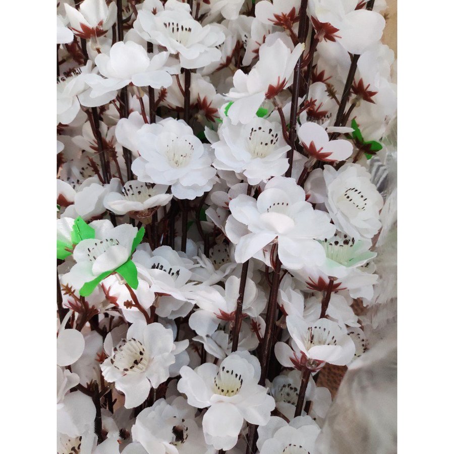 Ảnh sản phẩm - Lala Shop