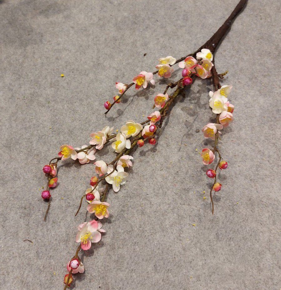 Ảnh sản phẩm - Lala Shop