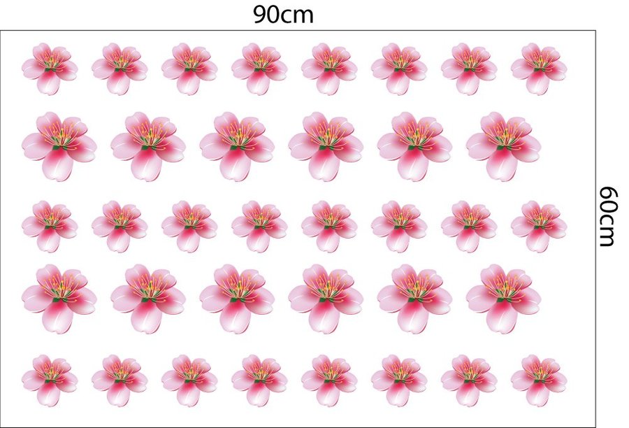 Ảnh sản phẩm - Lala Shop