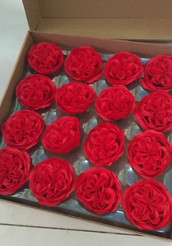 Hộp 16 hoa mẫu đơn sáp