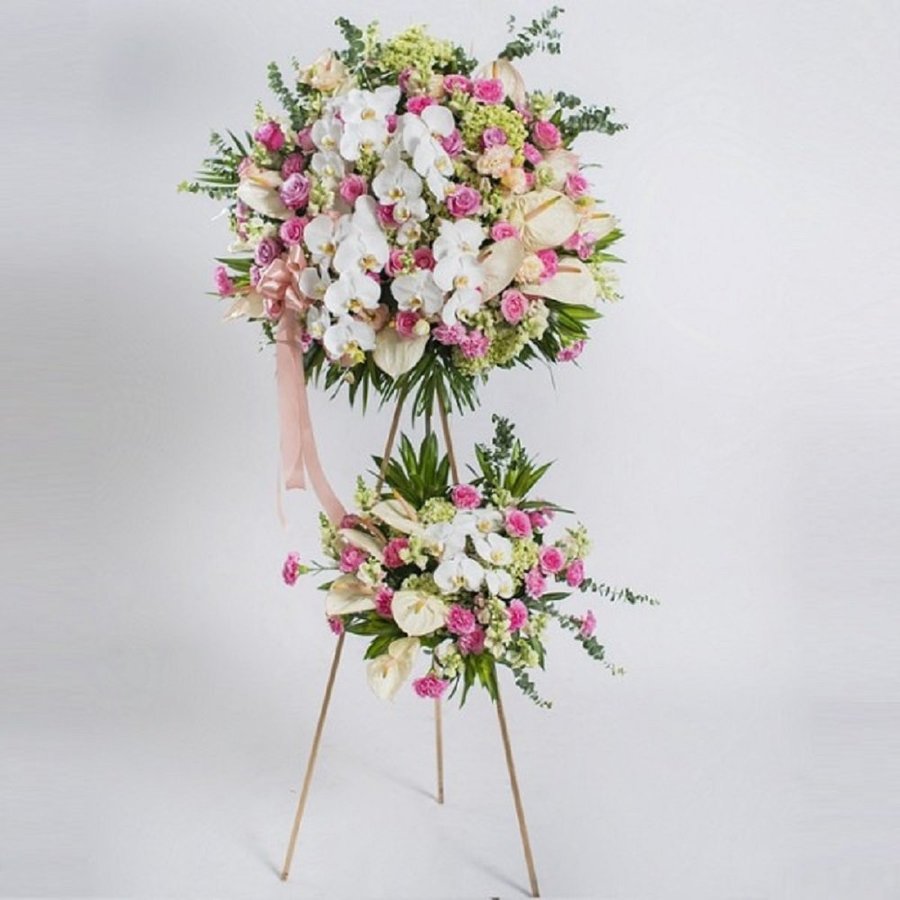 Ảnh sản phẩm - Lala Shop