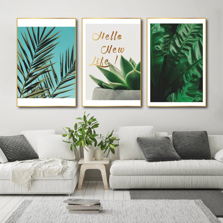 Ảnh sản phẩm - Lala Shop