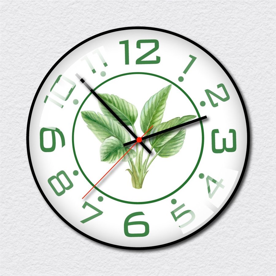 Ảnh sản phẩm - Lala Shop