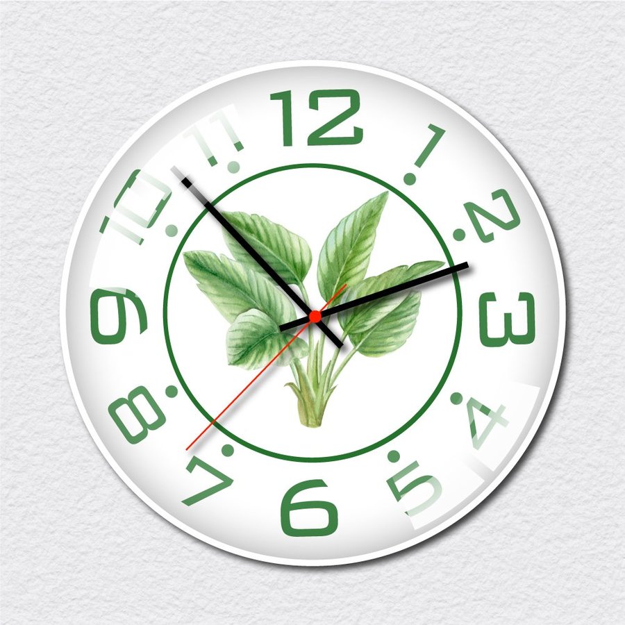 Ảnh sản phẩm - Lala Shop