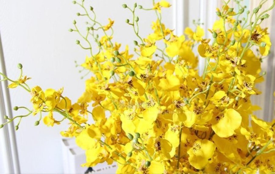 Ảnh sản phẩm - Lala Shop