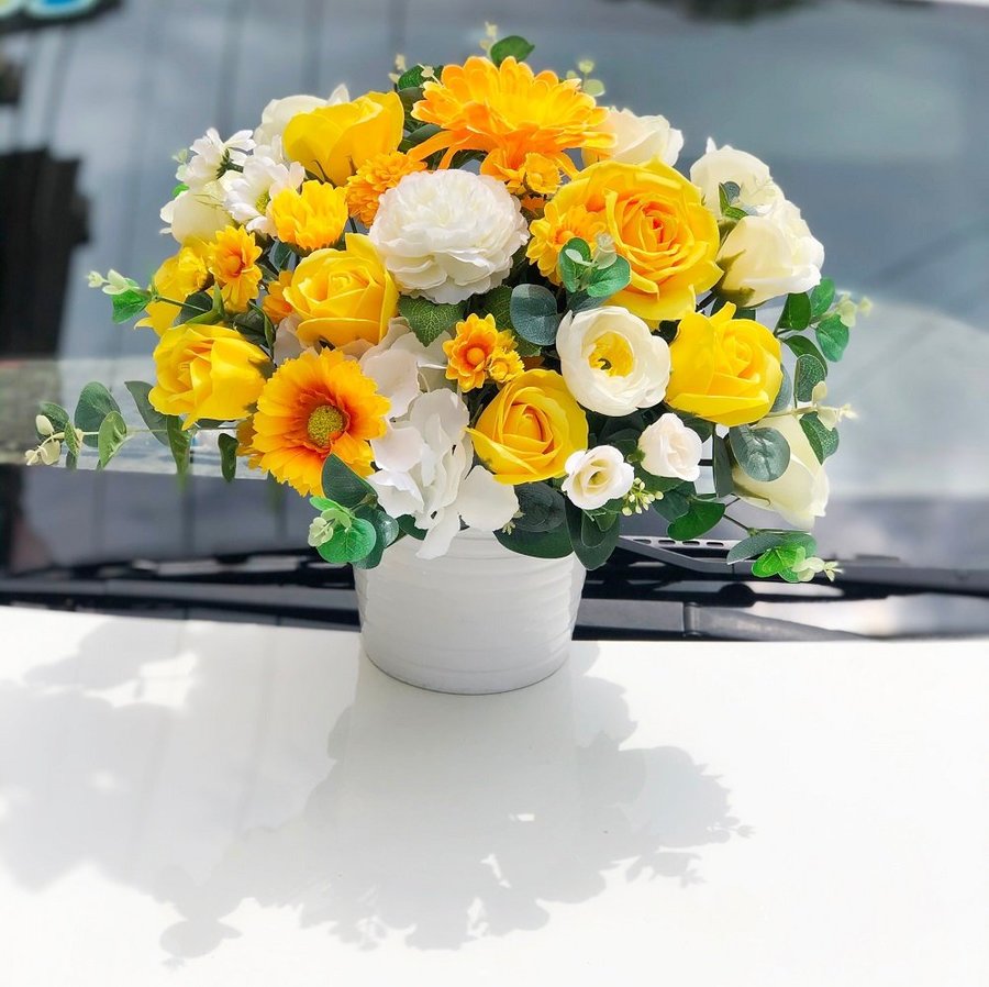 Ảnh sản phẩm - Lala Shop