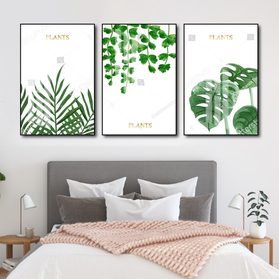 Ảnh sản phẩm - Lala Shop