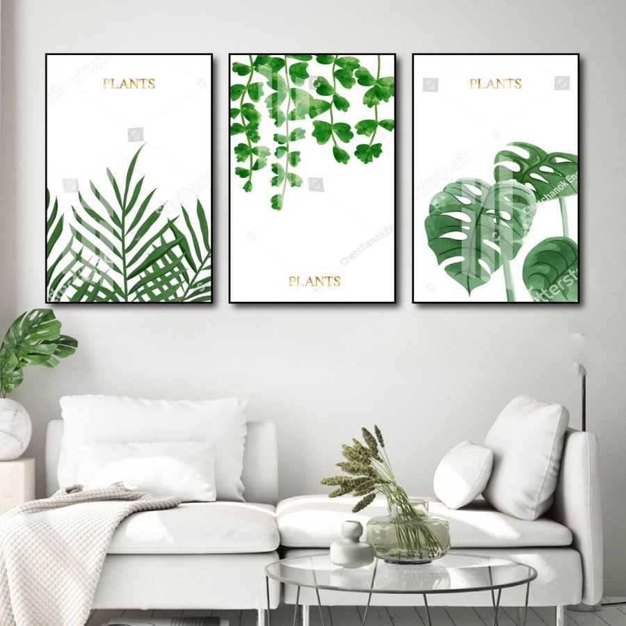 Ảnh sản phẩm - Lala Shop