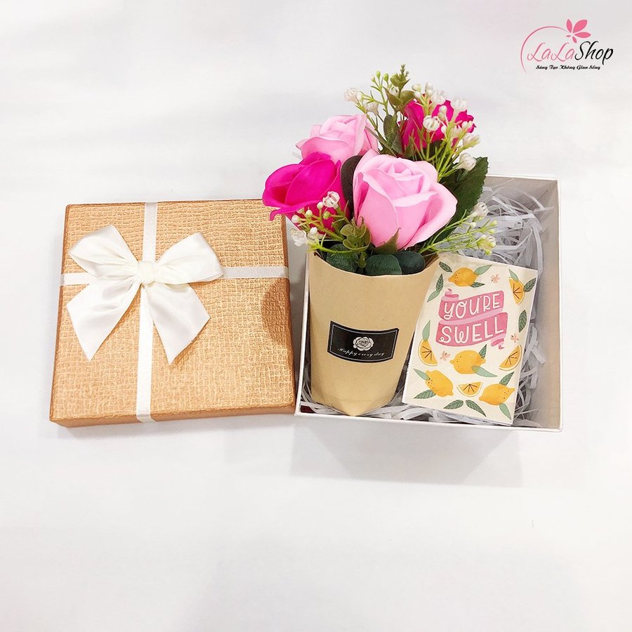 Set Hộp Quà Tặng Chậu Hoa Yêu Thương Kèm Thiệp