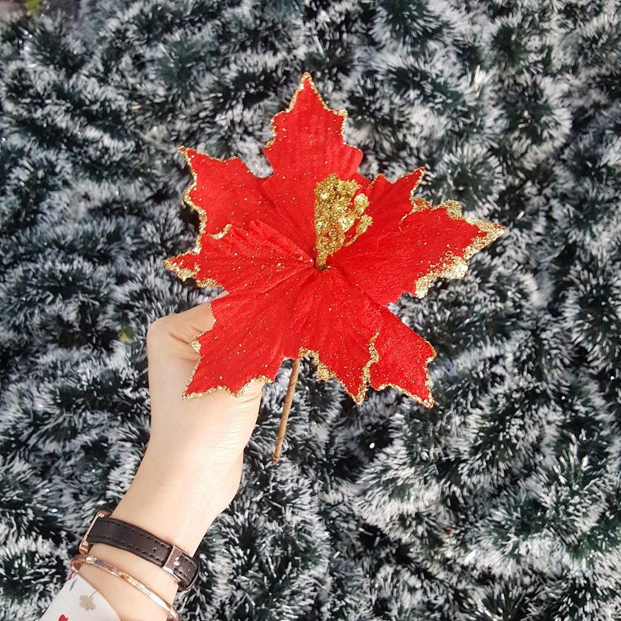 Ảnh sản phẩm - Lala Shop