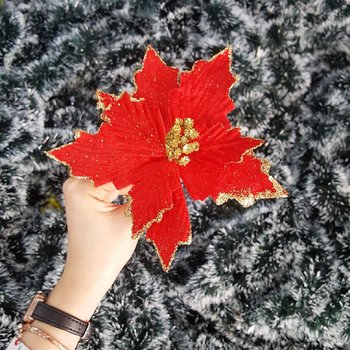 Hoa trạng nguyên đỏ trang trí