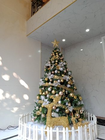 Cây thông 3 loại lá gắn  2m1 full phụ kiện mẫu 14