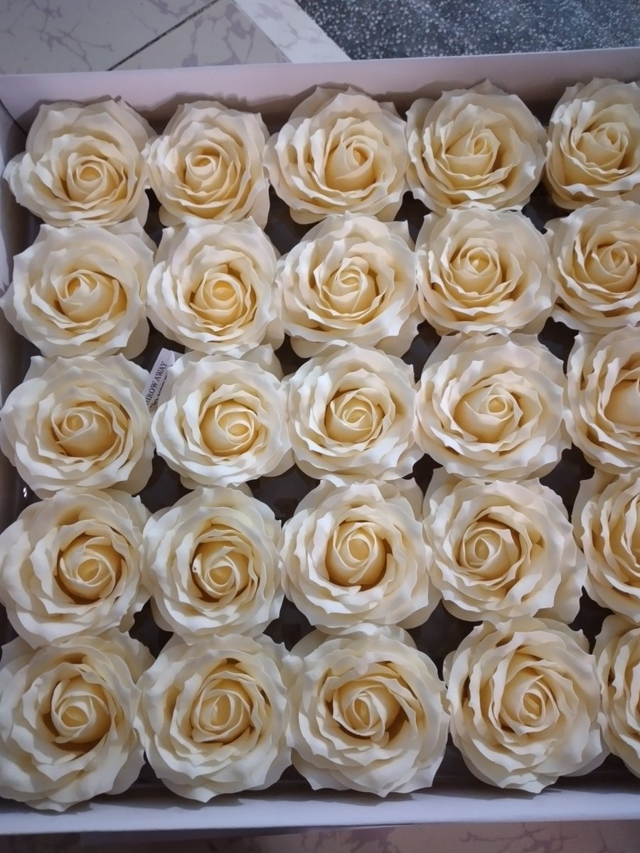 Hộp 25 đầu bông sáp 7 lớp màu trắng kem nhụy vàng nhạt