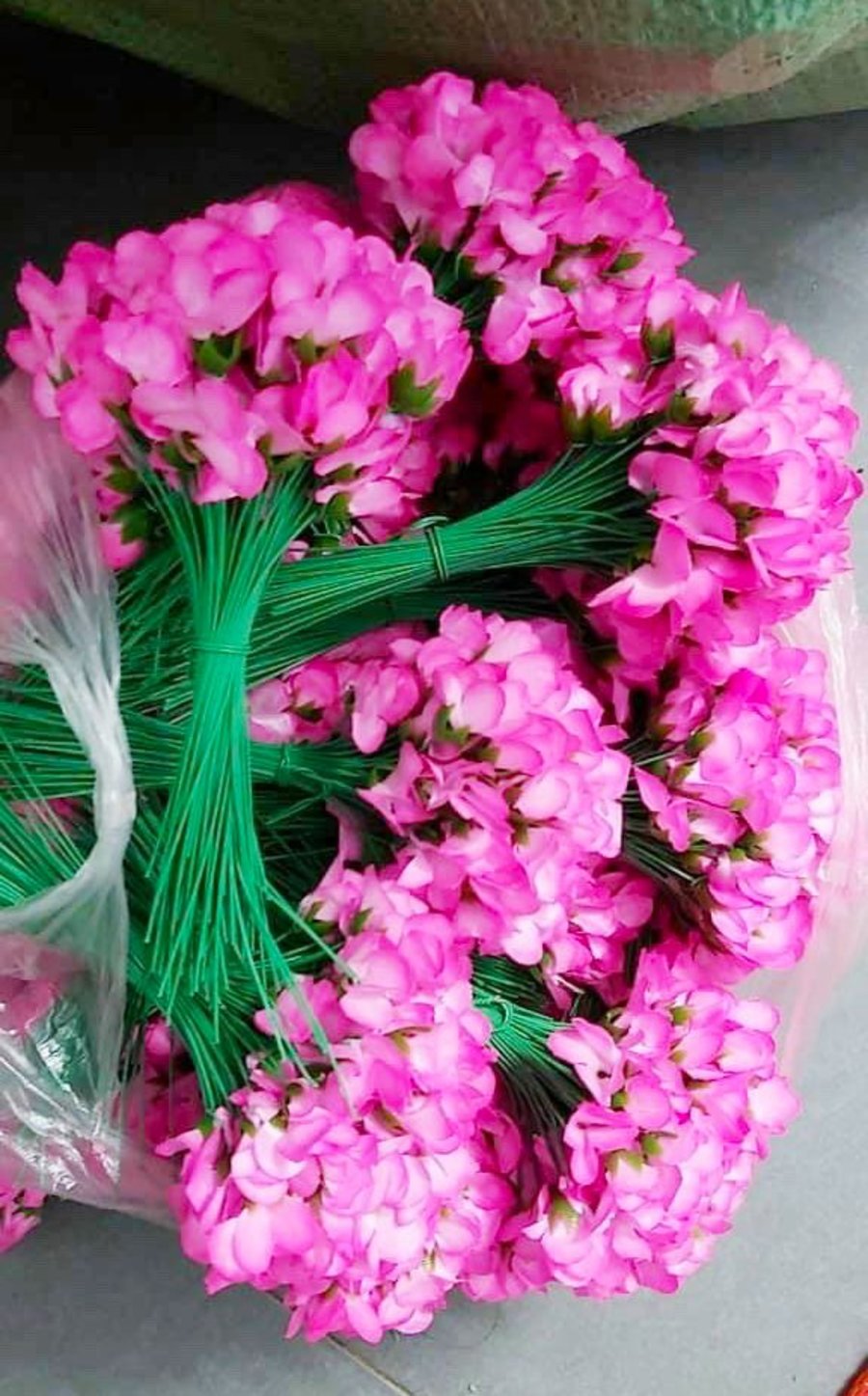 Ảnh sản phẩm - Lala Shop