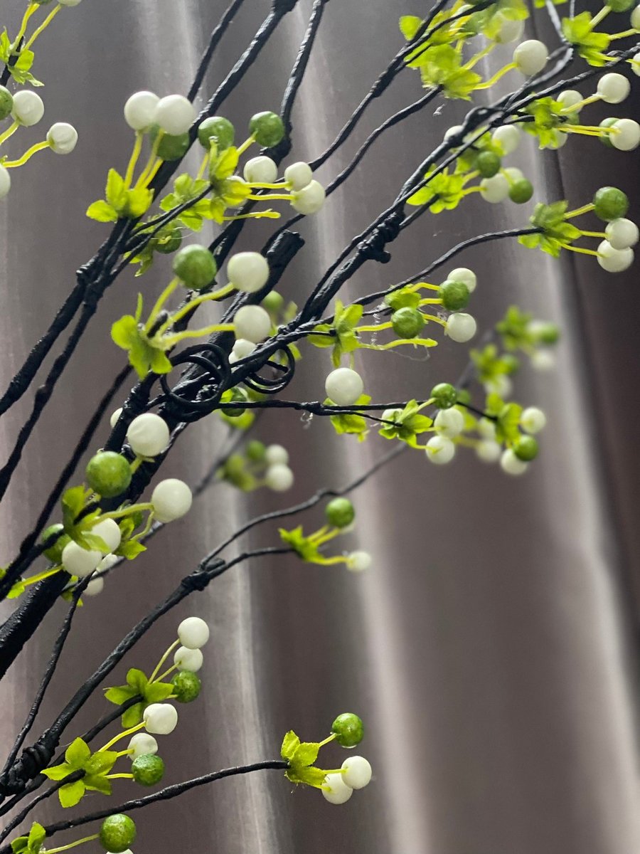 Ảnh sản phẩm - Lala Shop