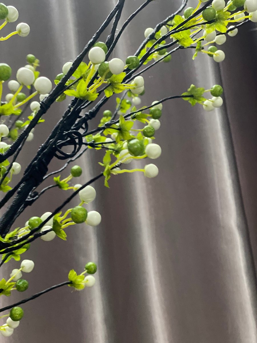 Ảnh sản phẩm - Lala Shop