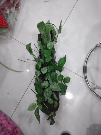 Dây rễ cây lá xanh dài 1m