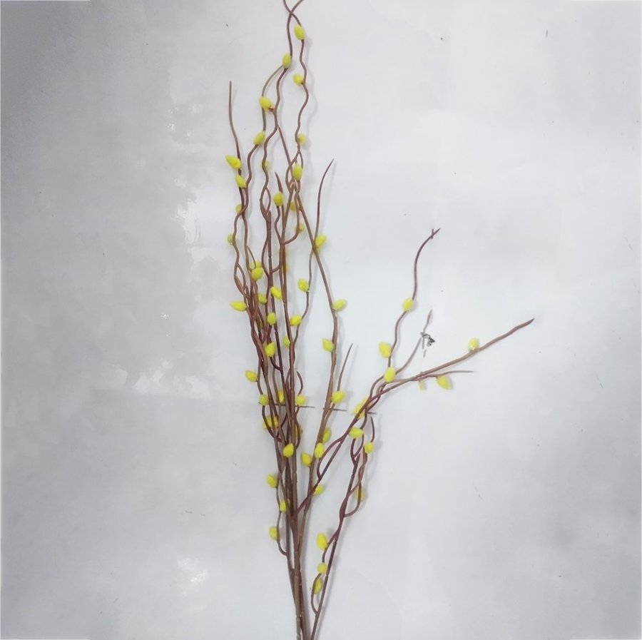 Ảnh sản phẩm - Lala Shop