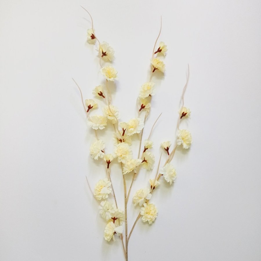 Ảnh sản phẩm - Lala Shop