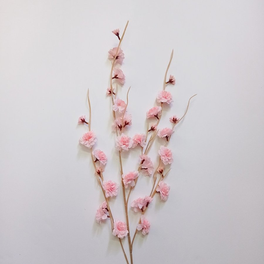 Ảnh sản phẩm - Lala Shop