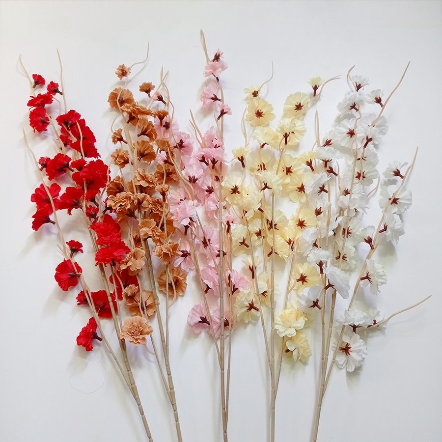 Ảnh sản phẩm - Lala Shop