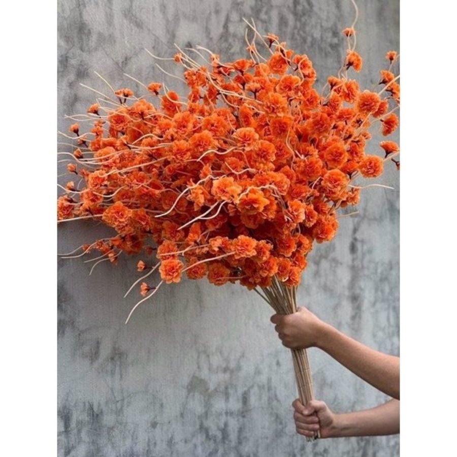 Ảnh sản phẩm - Lala Shop