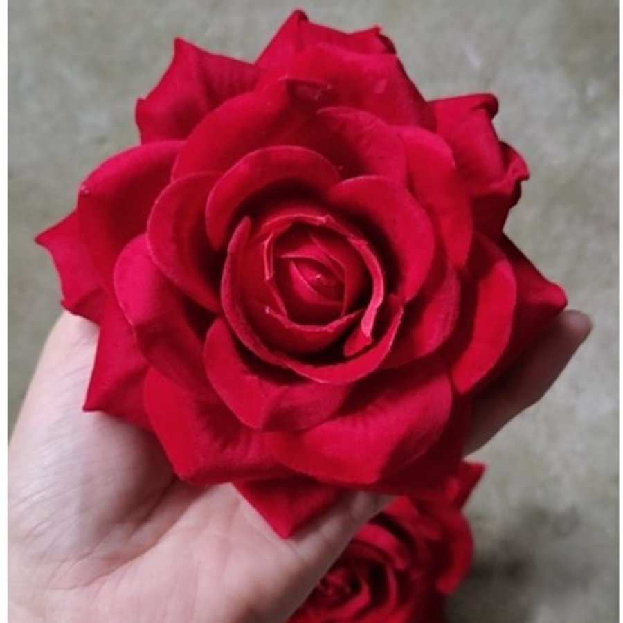 Ảnh sản phẩm - Lala Shop