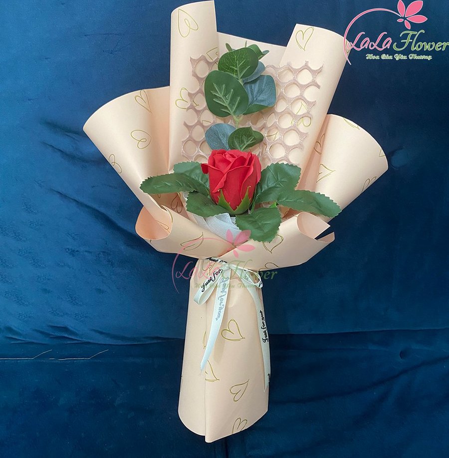 Ảnh sản phẩm - Lala Shop