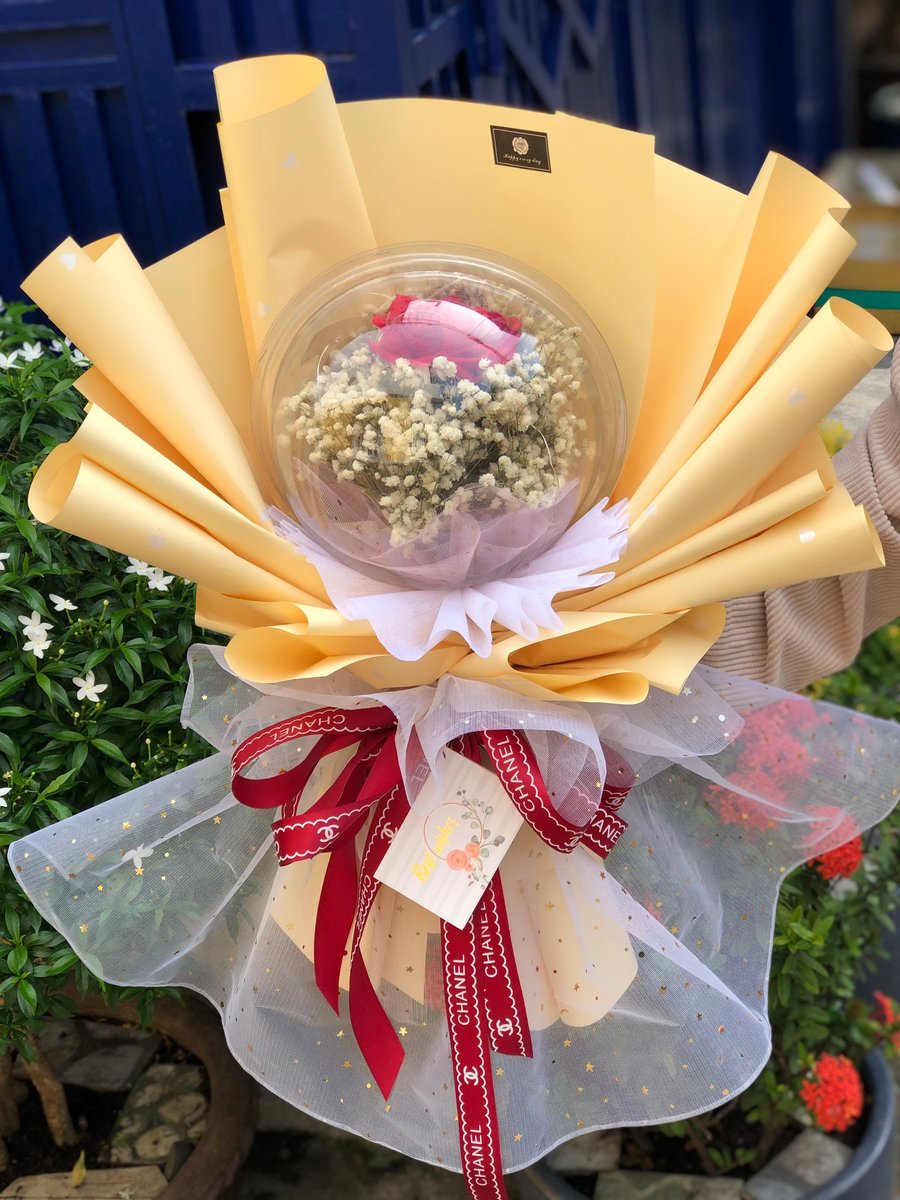 Ảnh sản phẩm - Lala Shop