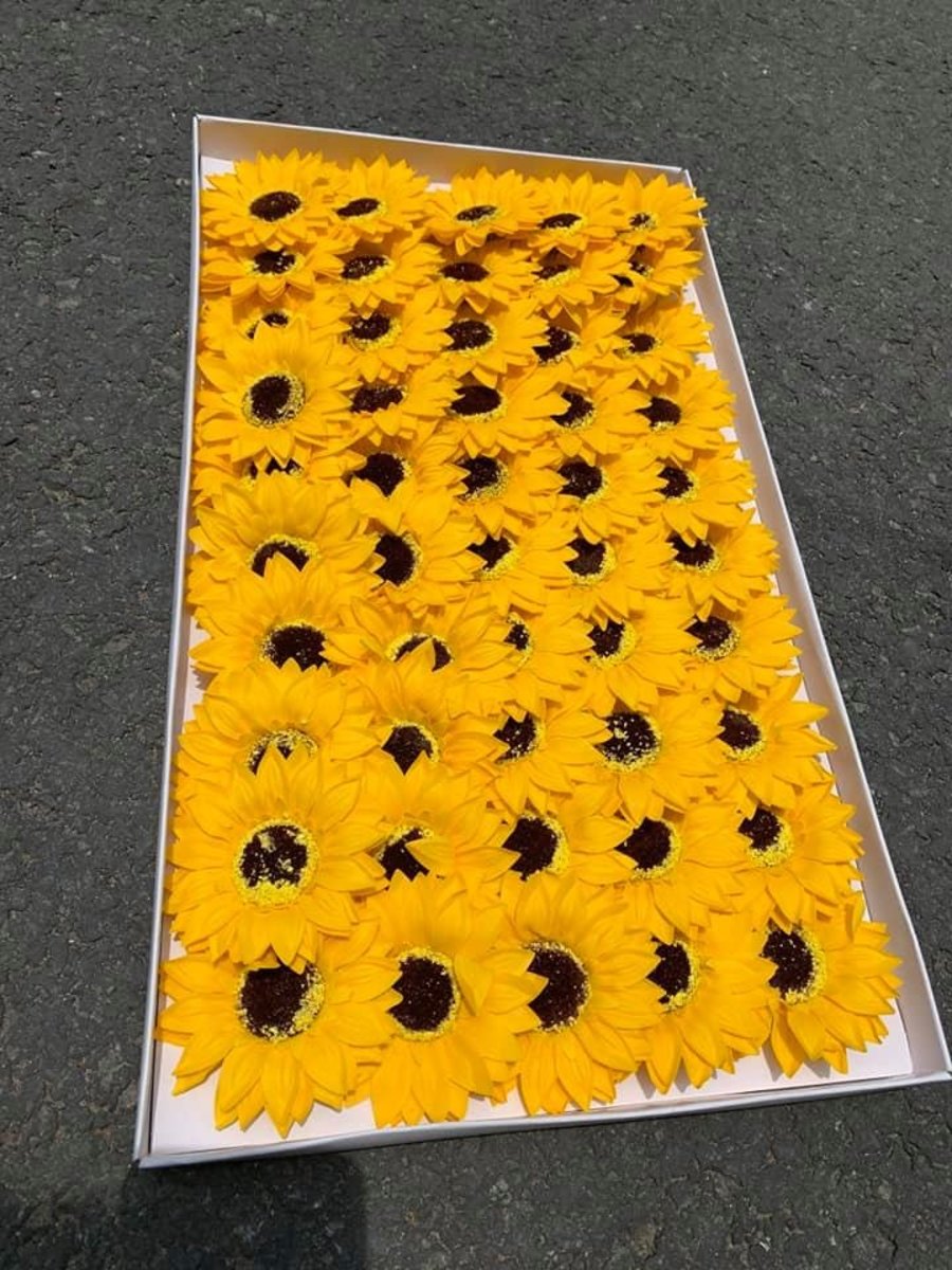 Ảnh sản phẩm - Lala Shop