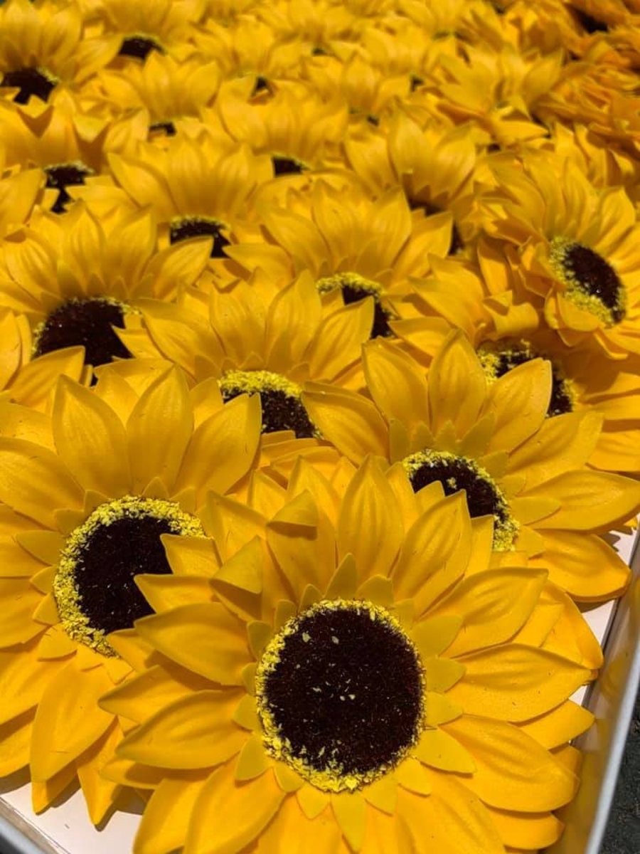 Ảnh sản phẩm - Lala Shop