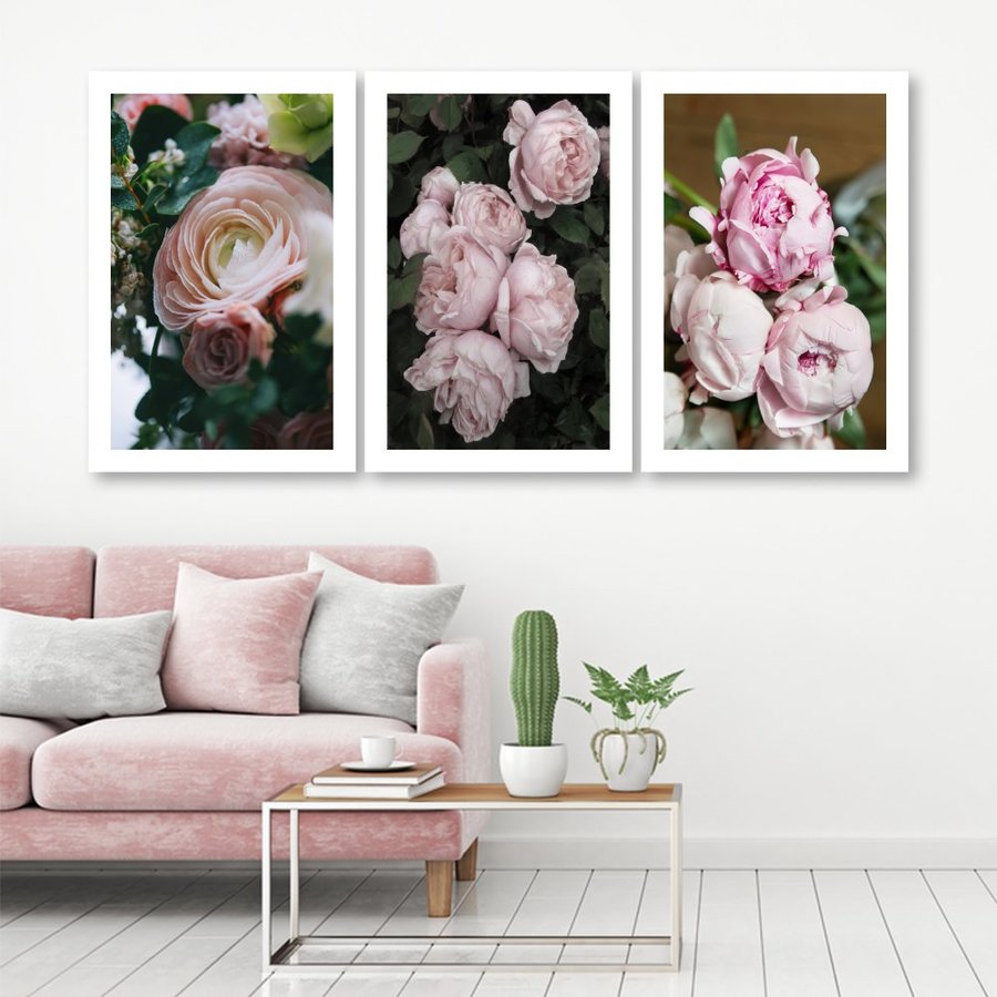 Ảnh sản phẩm - Lala Shop