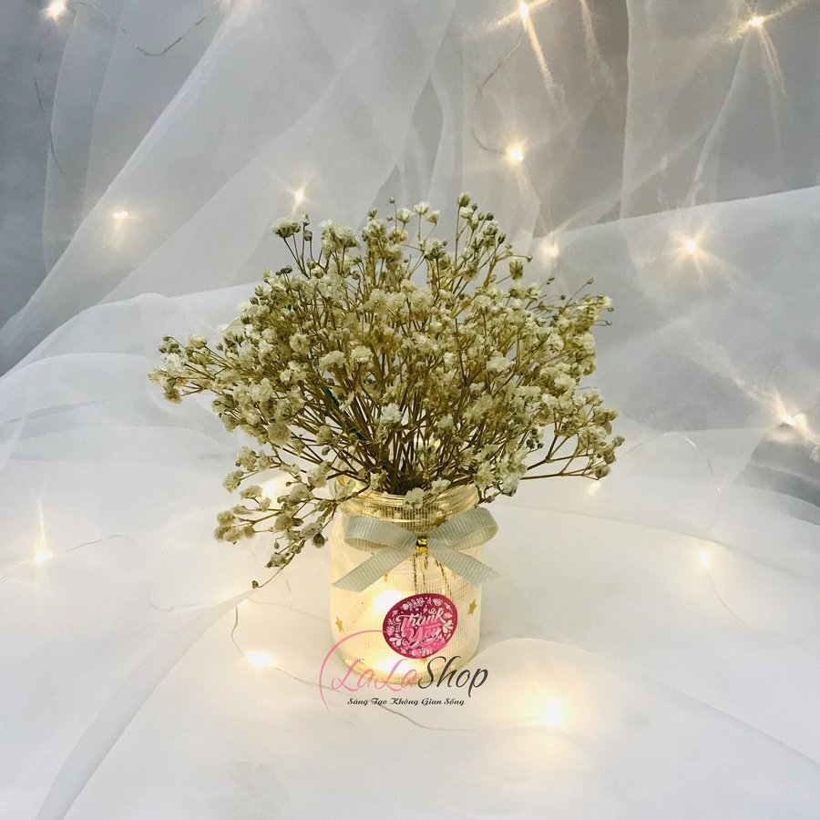 Ảnh sản phẩm - Lala Shop