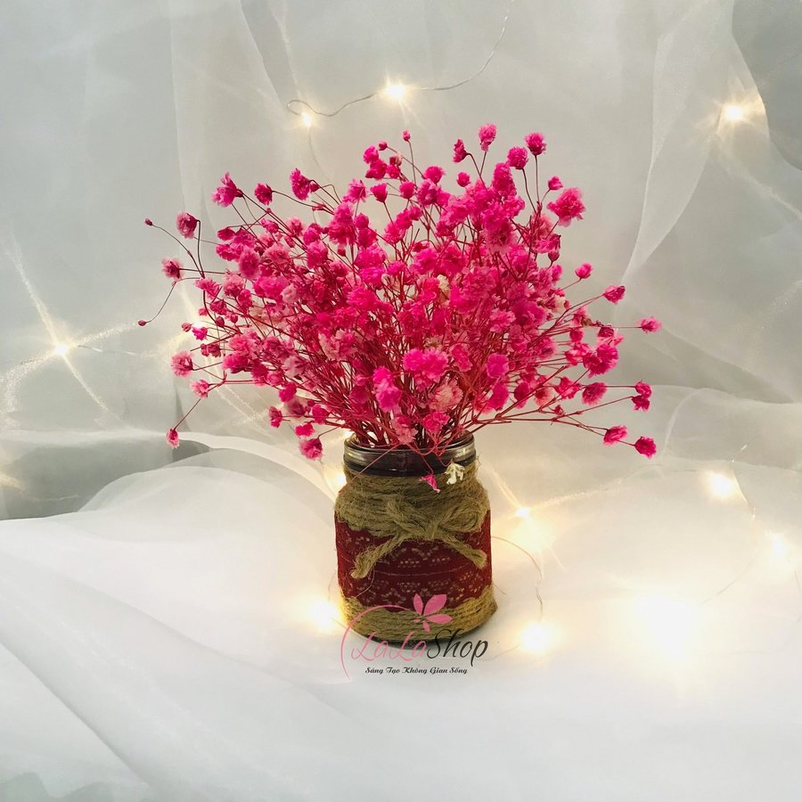 Ảnh sản phẩm - Lala Shop