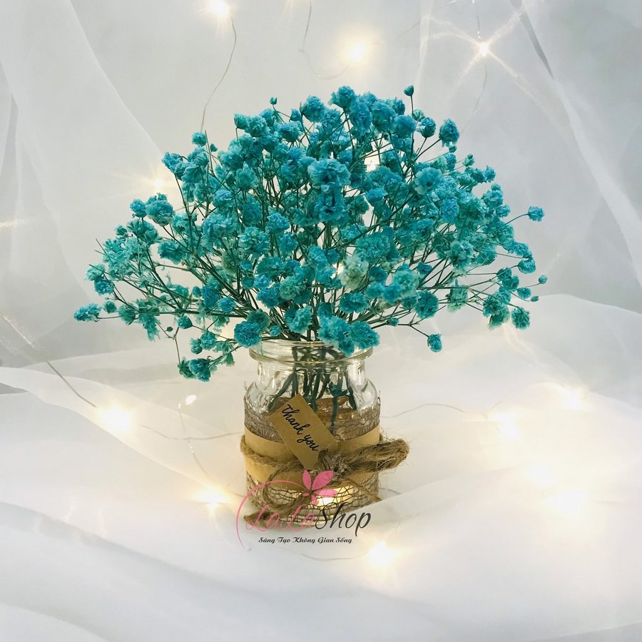 Ảnh sản phẩm - Lala Shop