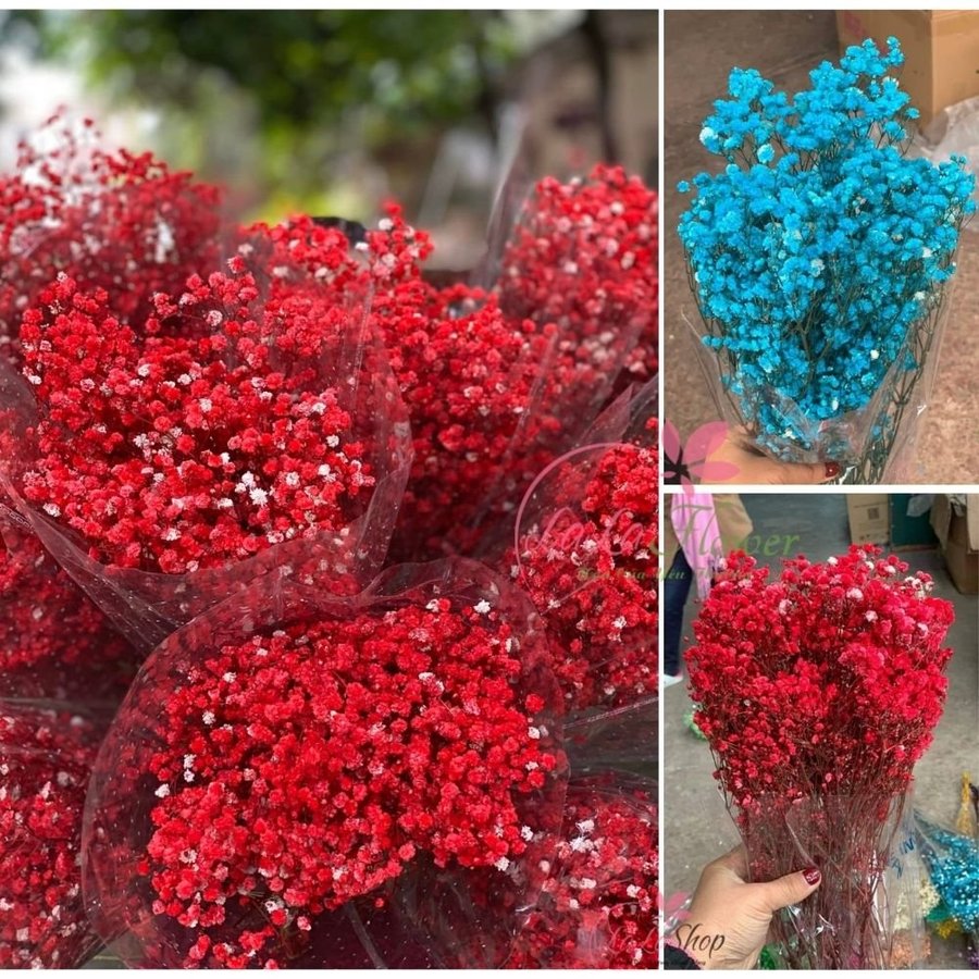 Hoa khô baby nhiều màu trang trí 100gr/bịch