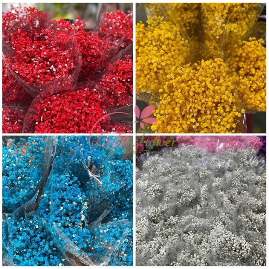 Ảnh sản phẩm - Lala Shop