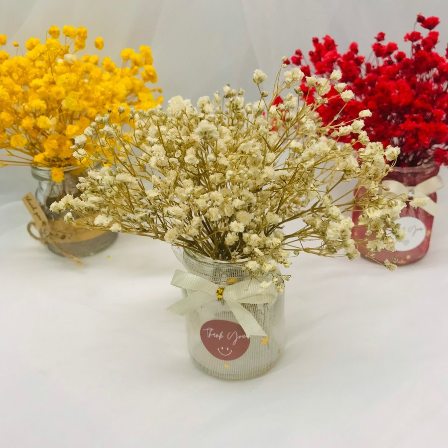 Ảnh sản phẩm - Lala Shop