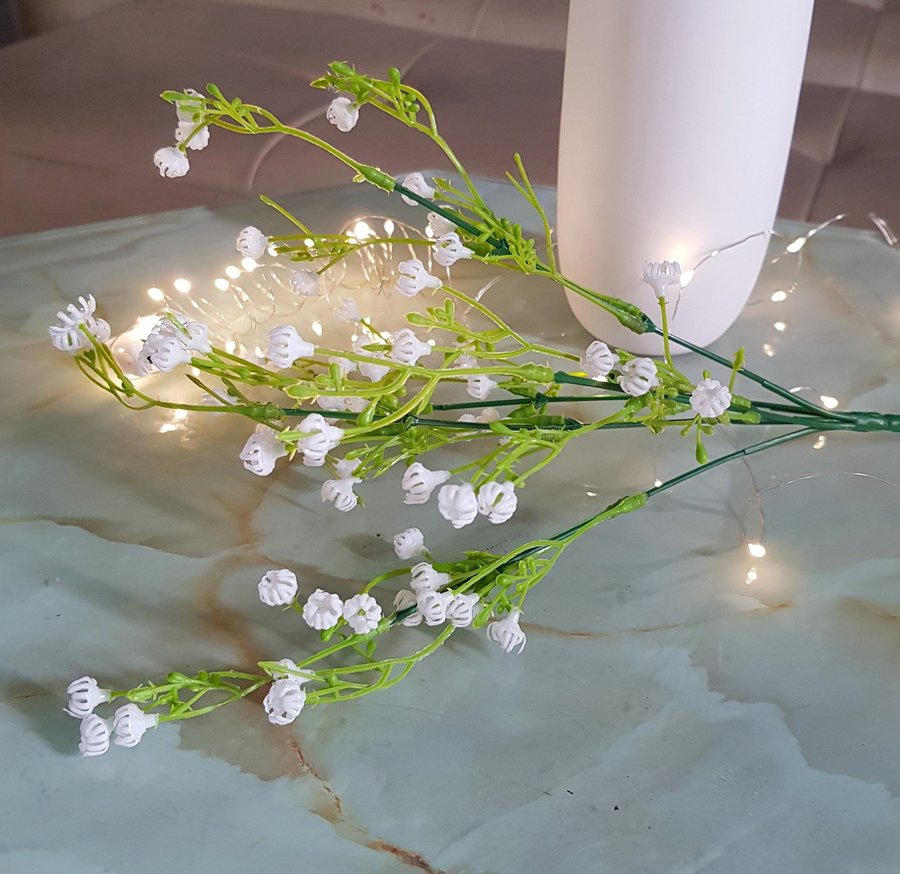 Ảnh sản phẩm - Lala Shop