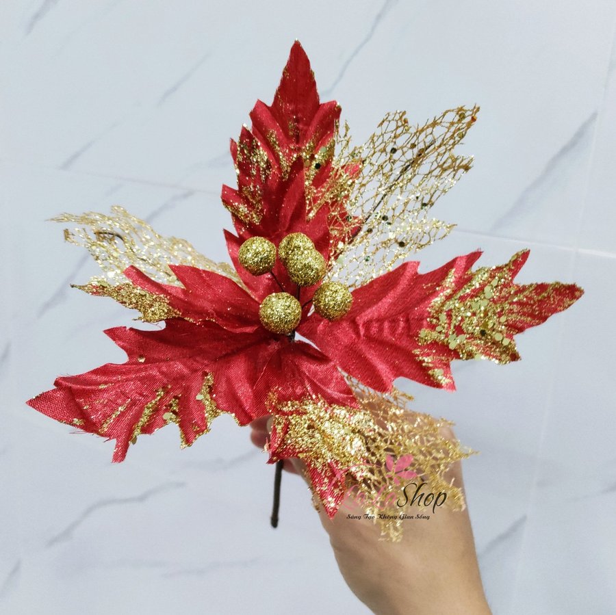 Ảnh sản phẩm - Lala Shop