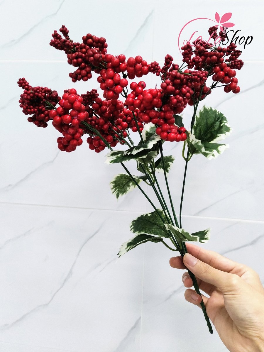 Ảnh sản phẩm - Lala Shop